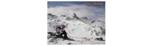 Raquetas de nieve